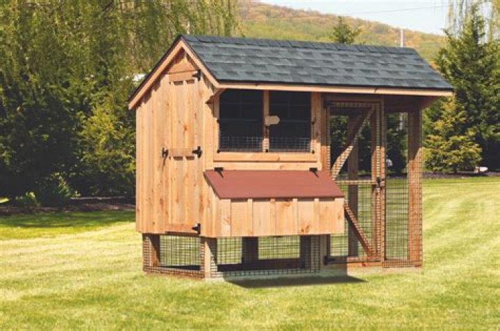 Do chickens need a hen house?