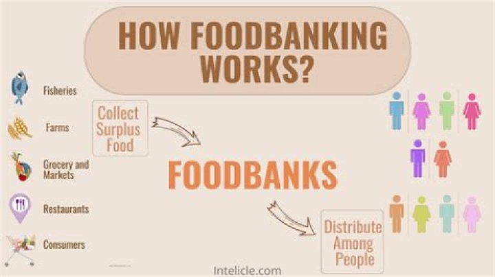 Do food banks accept dog food?