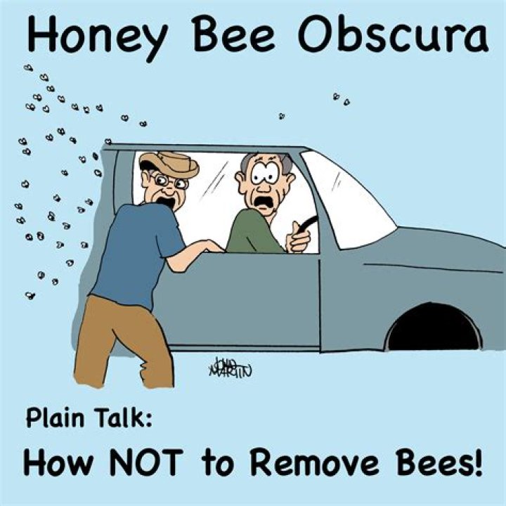 Does anyone remove bees for free?