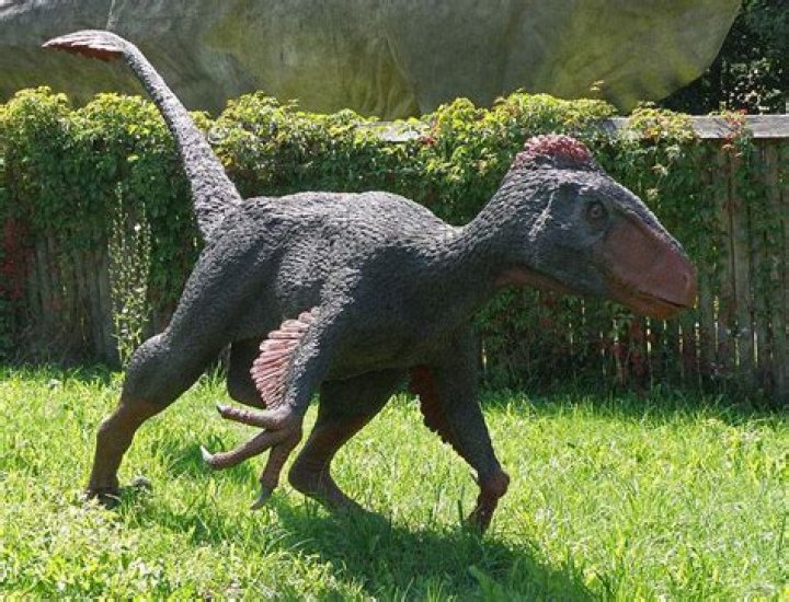 How big is a real Utahraptor?