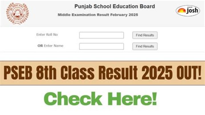 How can I check my 8th class result in Punjab?
