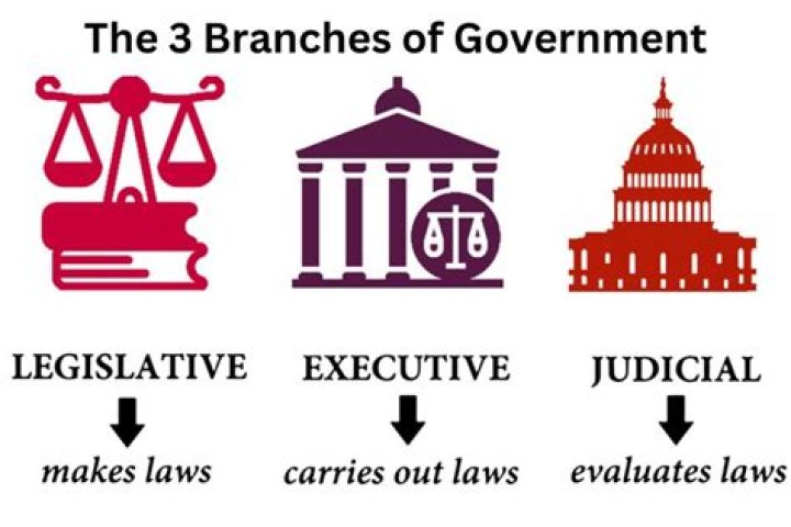 How does the government control society in 1984?