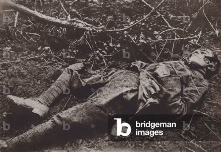 How many British soldiers were killed at Balaclava?