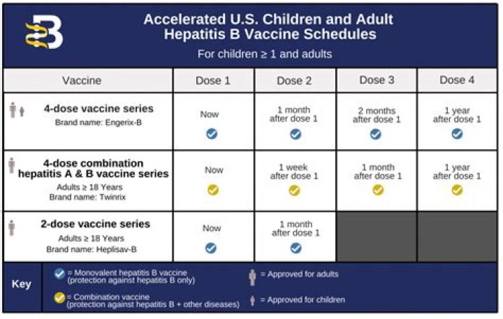 How many times can you take the hep B vaccine?