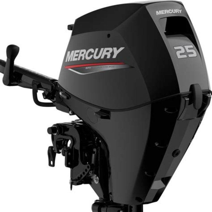 How much does a 25 HP Mercury 2 stroke weight?