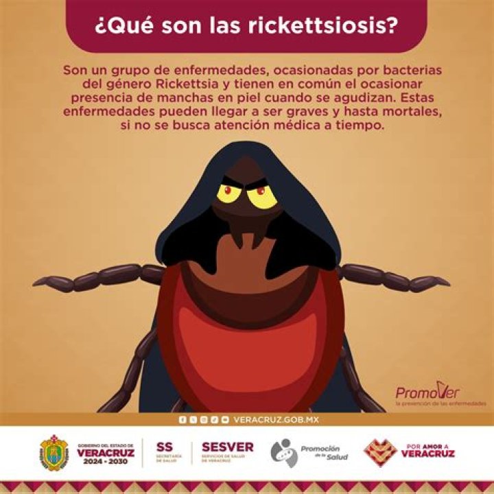 Que causa la Rickettsia?