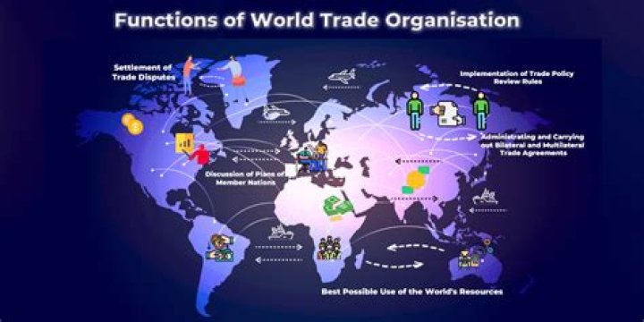 What are the benefits that a country could get from being a member of a World Trade Organization?