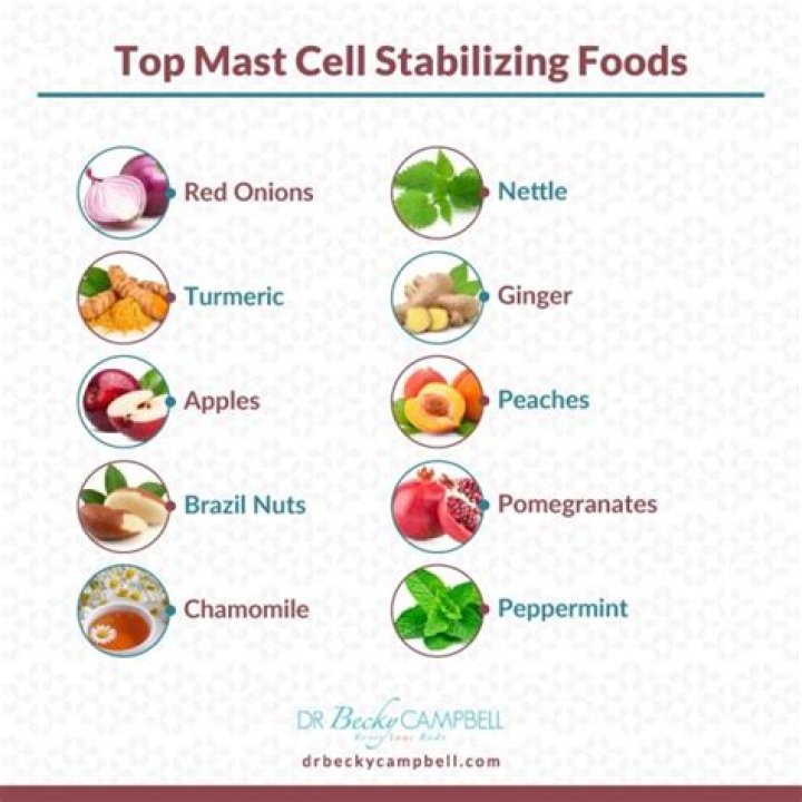 What are the best mast cell stabilizers?