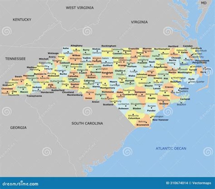 What cities make up Davidson County?