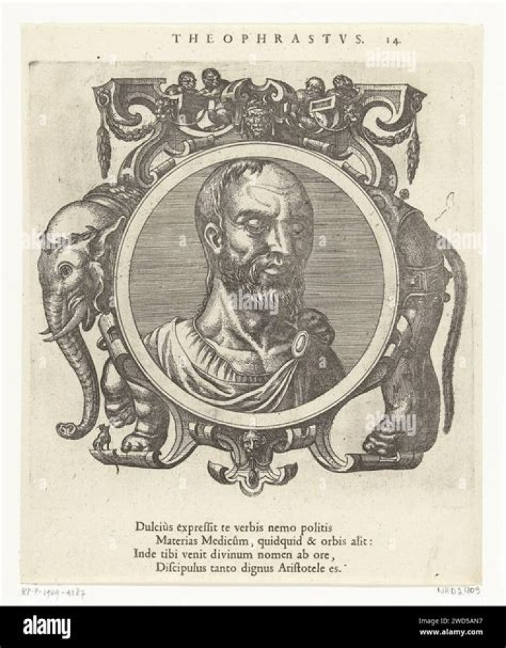 What did Theophrastus contribution to taxonomy?