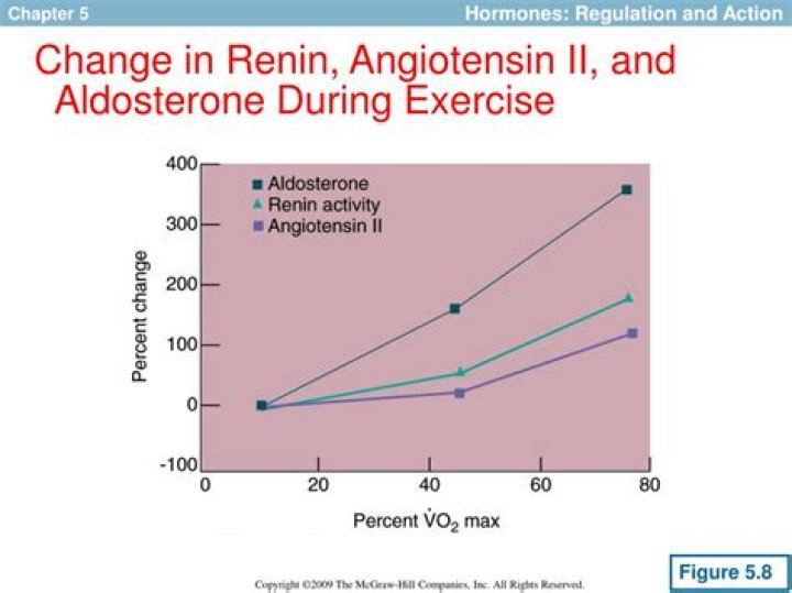 What happens to aldosterone during exercise?