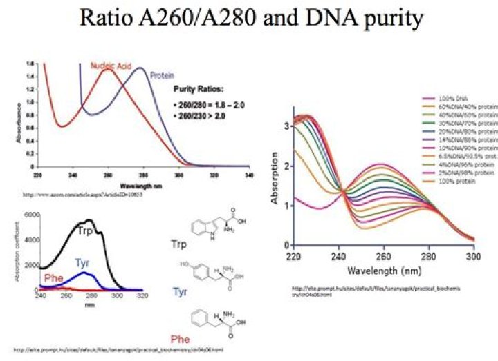 What is a good 260 280 ratio for DNA?