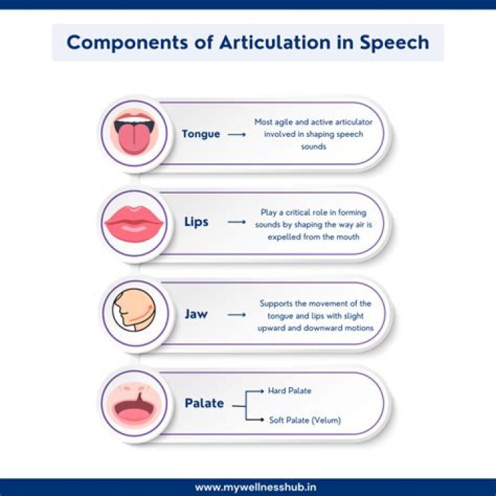 What is articulation speech?