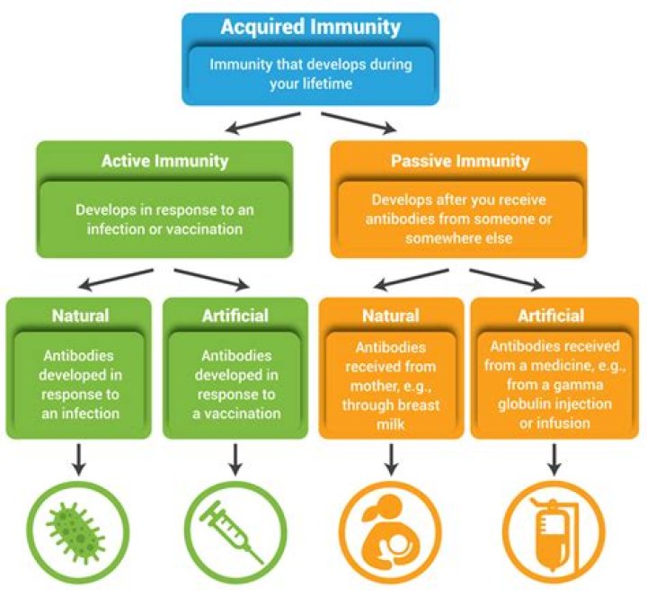 What is meant by acquired immunity?