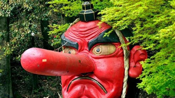 What is Tengu food?