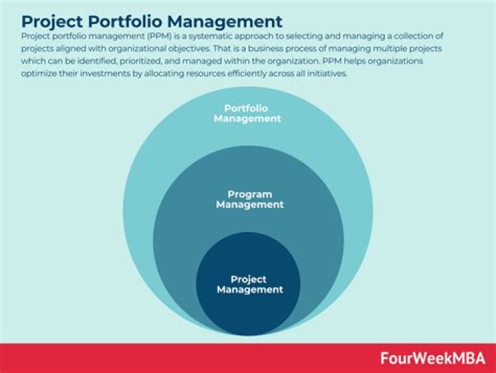 What is the portfolio in the government?
