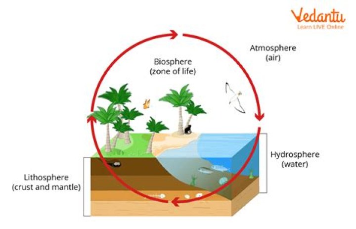 What is the simple definition of biosphere?