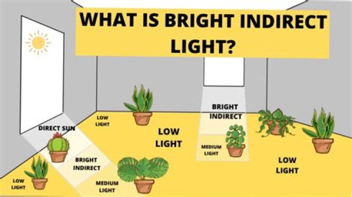 What light bulb is closest to natural sunlight?